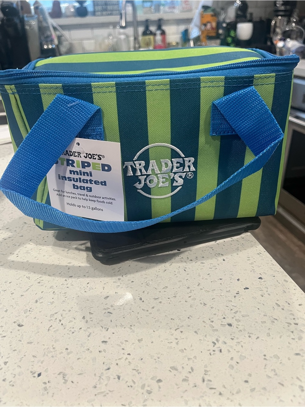 Trader Joe’s Mini Striped Insulated Lunch Bag - Blue & Green